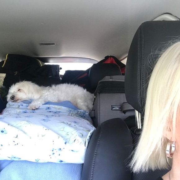 Meet Your Posher, Nancy - Picture 2 of 8